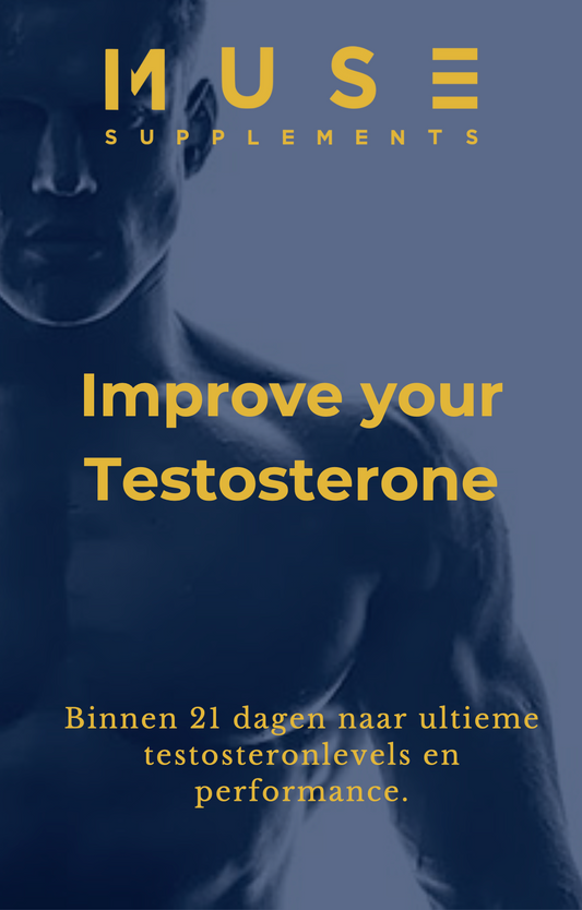 Improve your testosterone (E-Book)